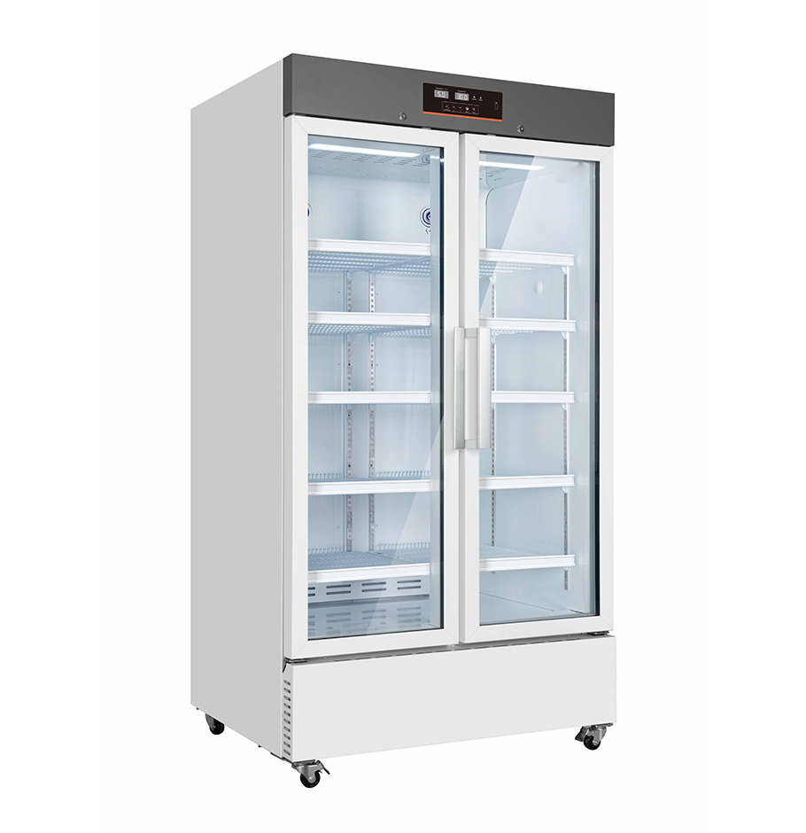 VS1006P Premium Refrigerator