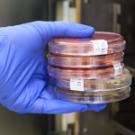 CO2Article_Hero_900x500