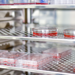 SampleCollection_Article_Hero_900x500